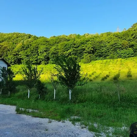 Torlakovac * Donji Vakuf